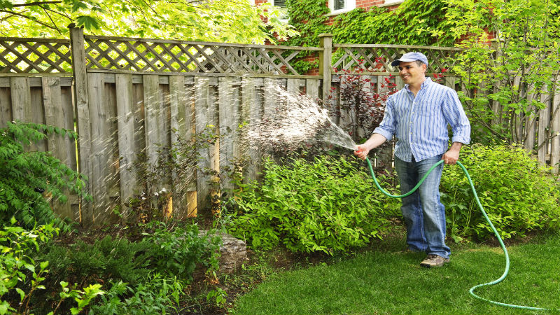 Professional Garden Services In San Antonio