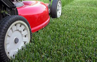 Why Does Lawn Aeration in Spokane Matter?