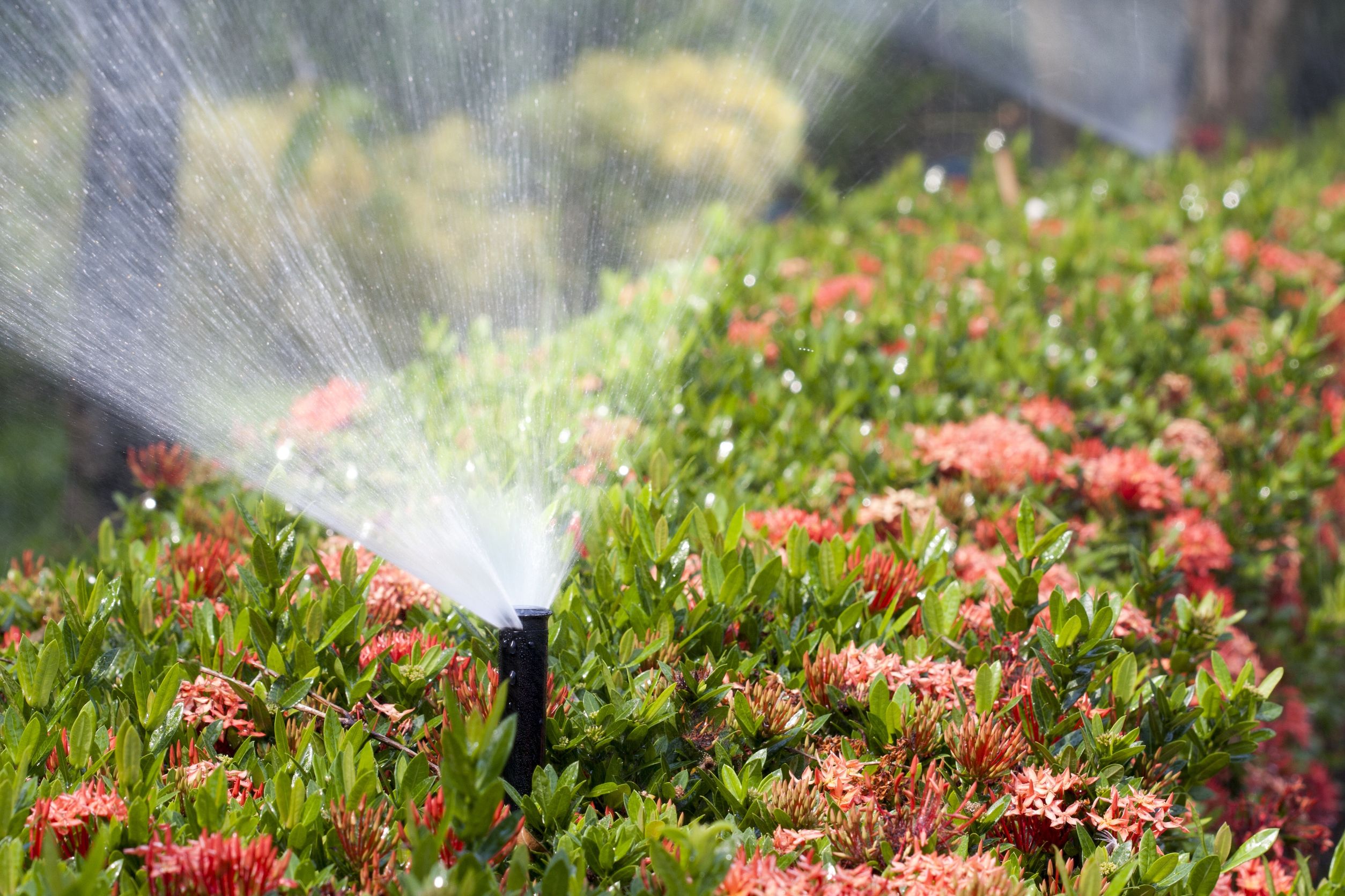 Why Leave Sprinkler System Installation Broomfield CO to the Professionals?