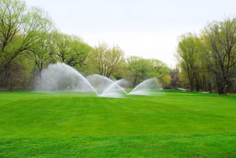 Complete Landscaping From a Tree Company in Boston