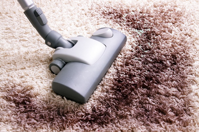 Proper Carpet Cleaning in Ft. Lauderdale FL