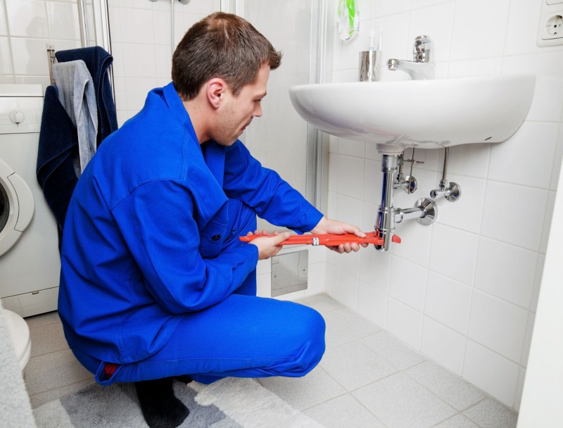 How a Plumbing in Jacksonville FL Problem can Attract Unwanted Pests