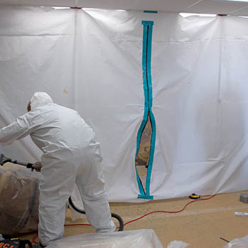 The Critical Mold Removal Services Offered by a Pest Management Service in Ashburn, VA