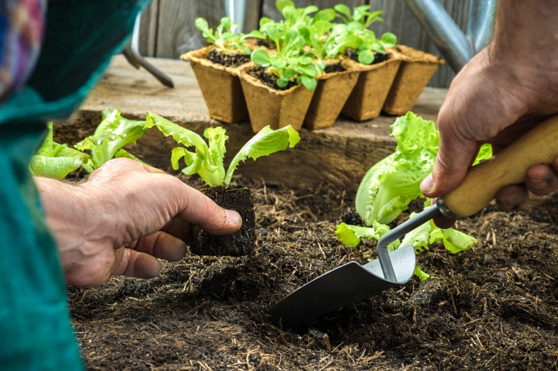 Avoid Termites By Using Mulch Correctly With Landscaping Companies in Waukesha WI