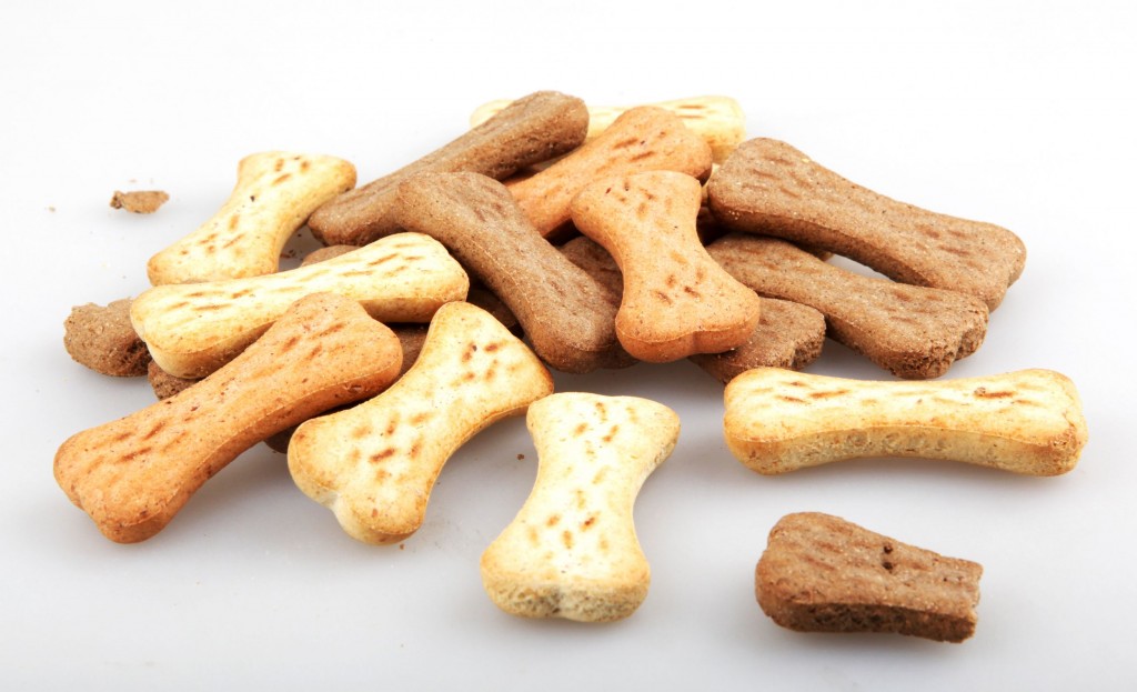 Tips for Choosing Pet Food in Folsom, CA Vibrantdir