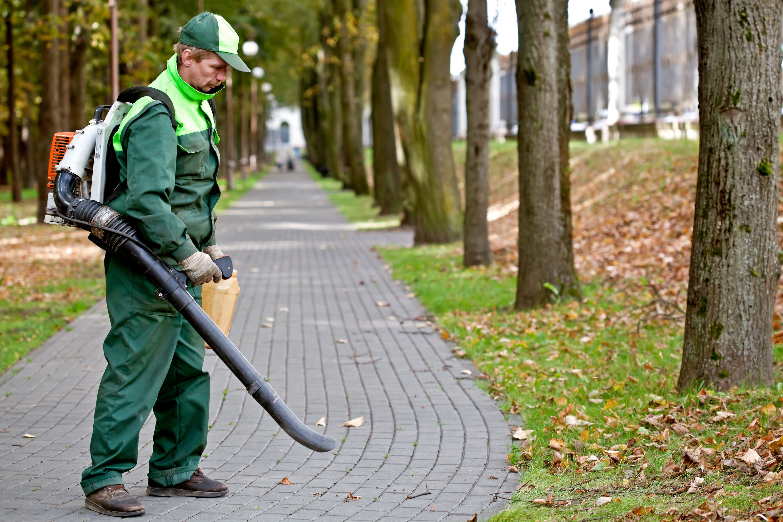 How to Implement Sensible, Home-Based Pest Control Longmont CO