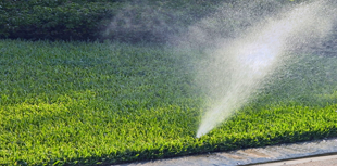 Keep Your Yard Green and Healthy with Sprinkler Repair in Spokane