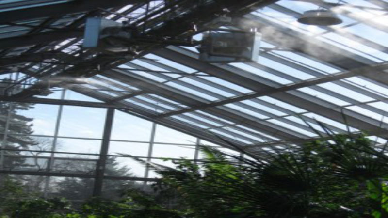 Essential Factors In Greenhouse Humidification Systems