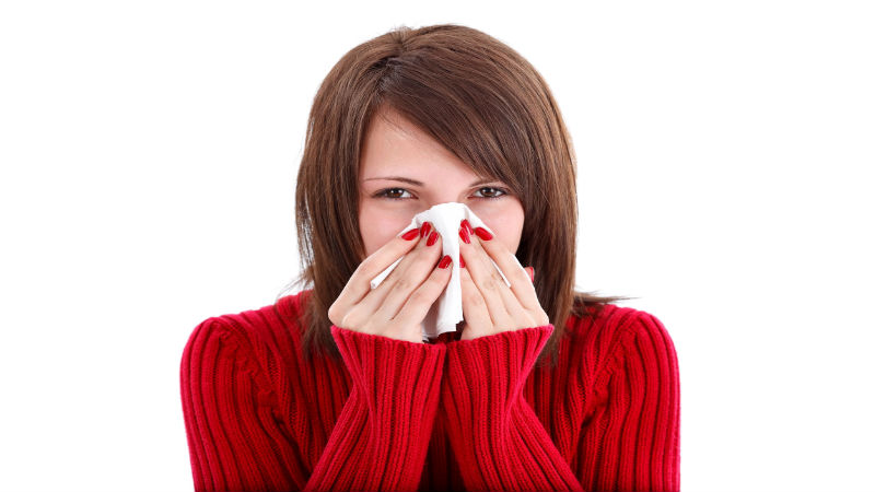 How To Tell The Difference Between A Common Cold And Hayfever In Louisville, KY