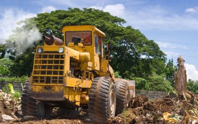 Get Rid of Your Old Woodshed with Demolition Services in Appleton, WI