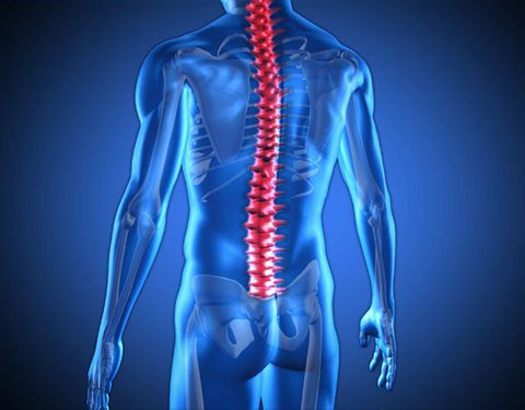 Do You Need Chiropractic Care in Marlton, NJ?