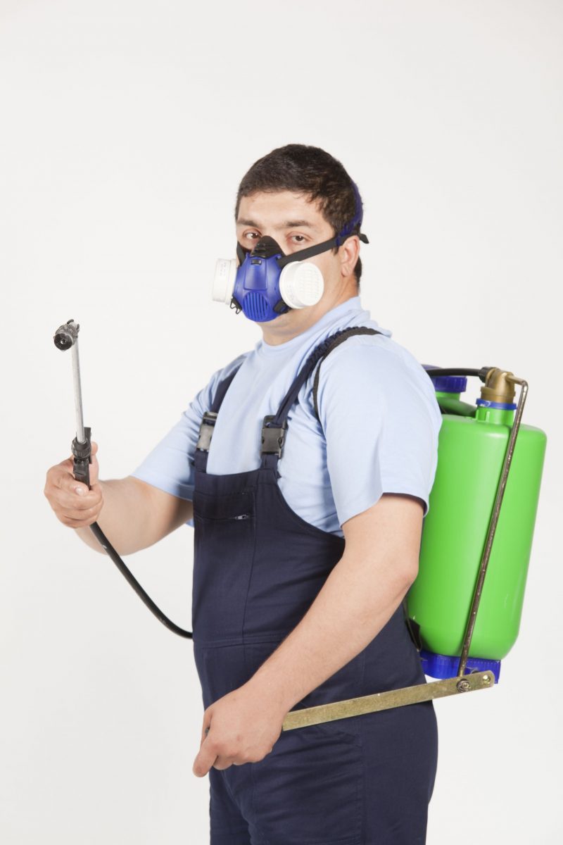 Get the Help You Need with the Best Pest Control Exterminator in North Scottsdale, AZ