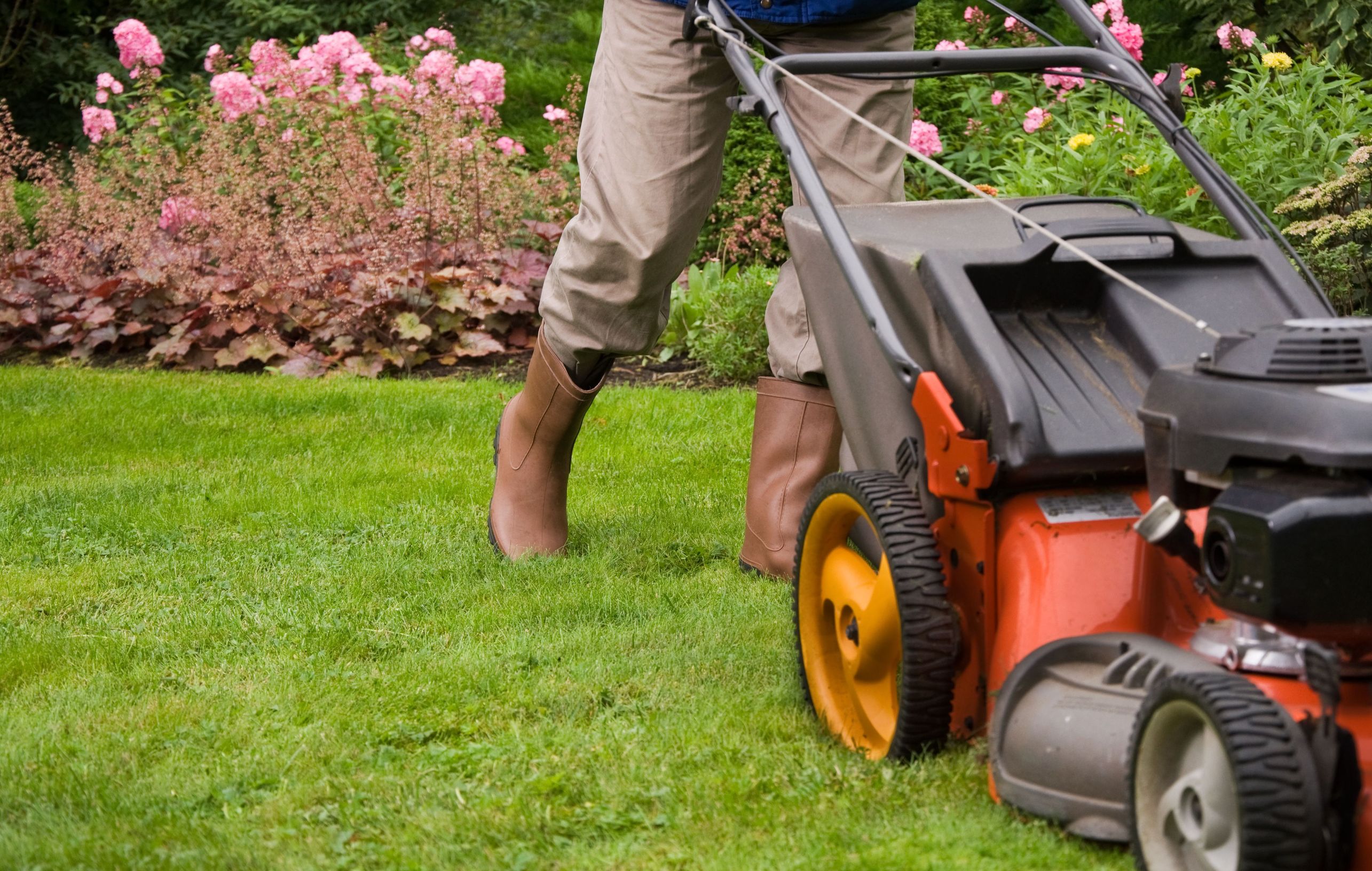 The Most Requested Services Offered By A Lawn Provider In Ashburn VA