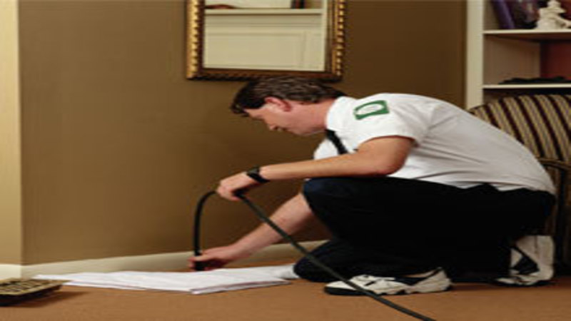 Do You Need Commercial Pest Control in Saugus, MA?