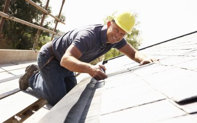 Professional Roof Damage Restoration in Winter Haven, Florida