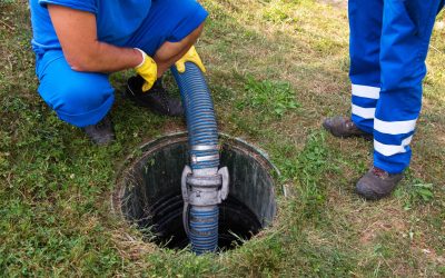 Protect Your Yard and Home with Timely Septic Drain Field Repair in Wasilla AK