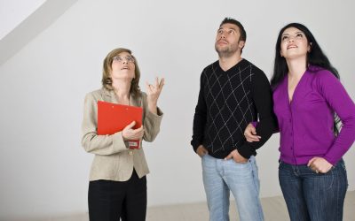 Homeowners Guide to Termite Inspection in Princeton Township, NJ for Peace of Mind